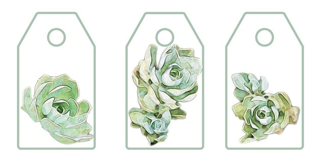 Saftige, Scrapbooking, Plante, Elementer