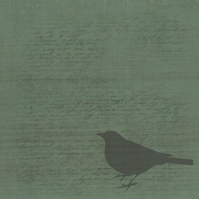 Free scrapbooking paper page illustration