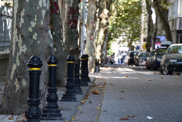 Free Street Istanbul photo and picture