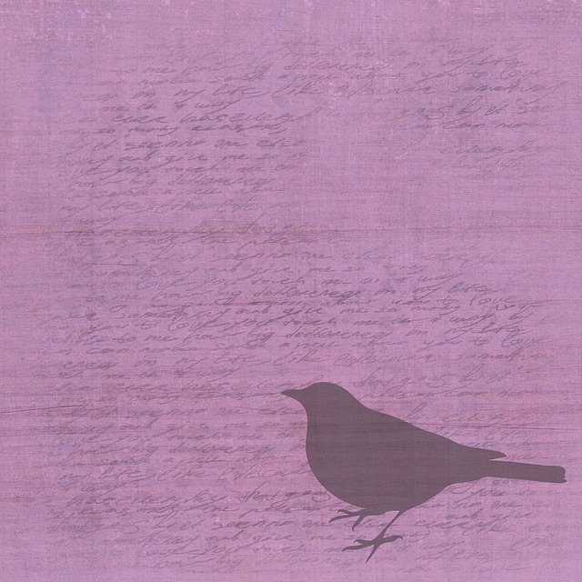 Free scrapbooking paper page illustration