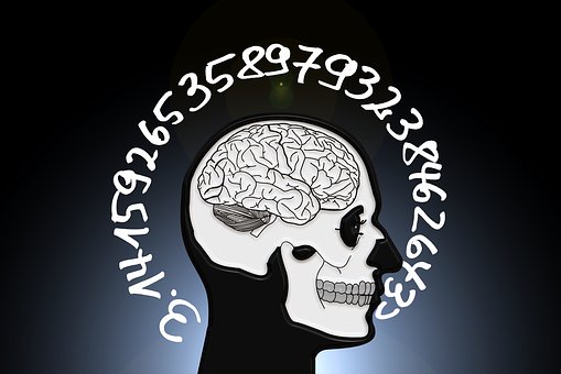 Calabera, Cráneo, Cerebro, Bobinas