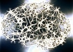 neurons, brain cells, brain structure