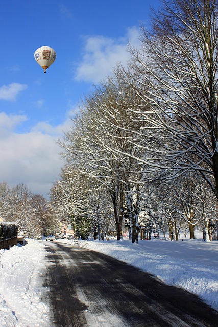 Free Winter Snow photo and picture