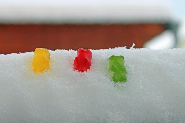 Free Winter Snow photo and picture