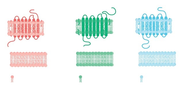Free cell cell membrane receptor illustration