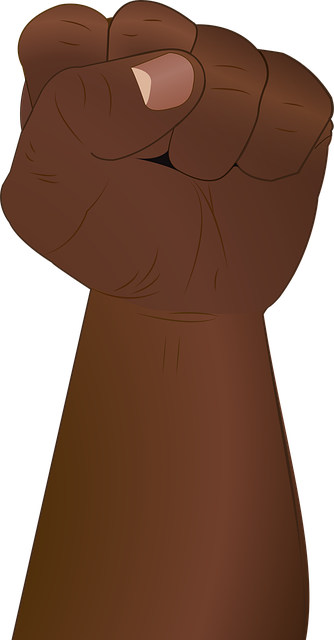 Free fist hand revolution vector