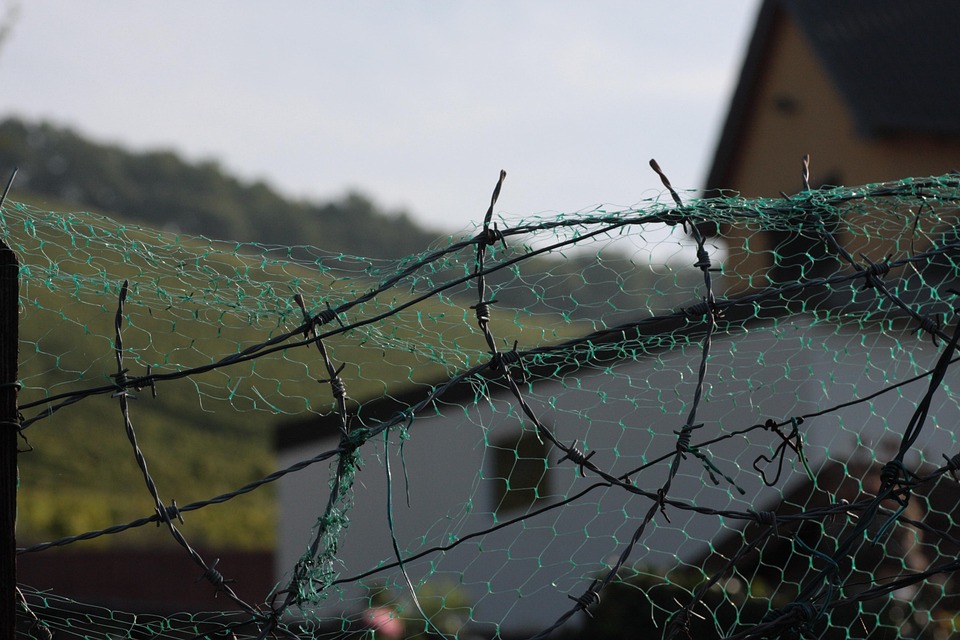 Barbed Wire Fence Barbed Wire Fence