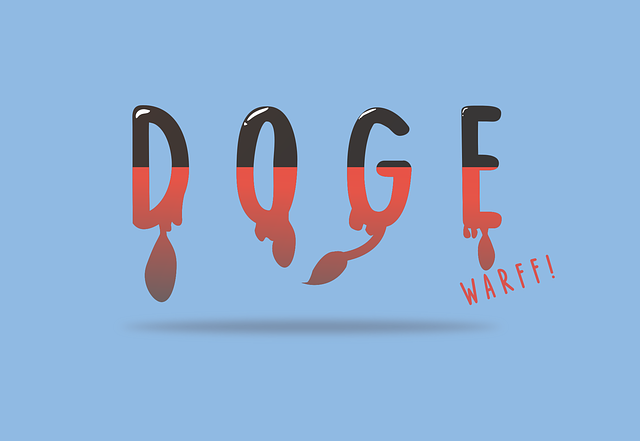 Free typhography doge gradient illustration