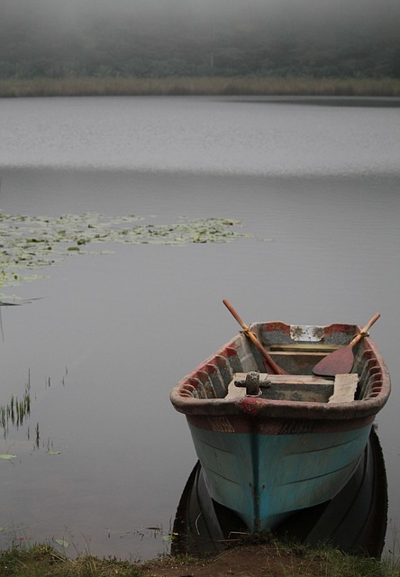 Free Boat Laguna photo and picture