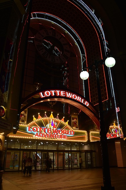 Free Night View Lotte World photo and picture