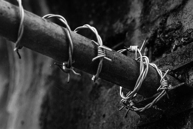 Free Wire Wireframe photo and picture