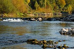 river, autumn, birs