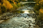 river, autumn, birs