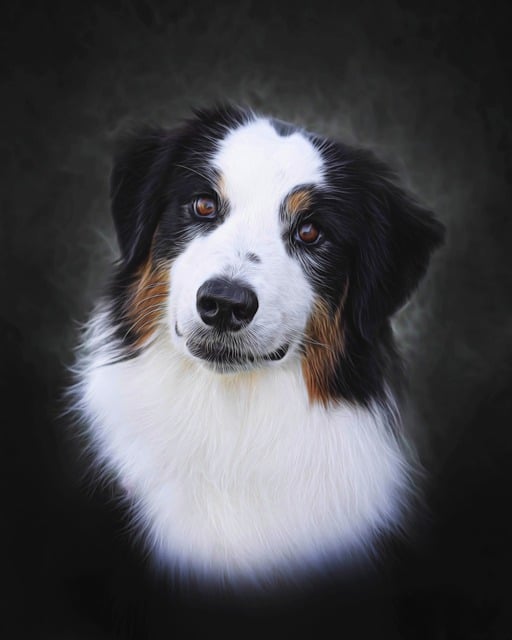Free dog pet animal illustration