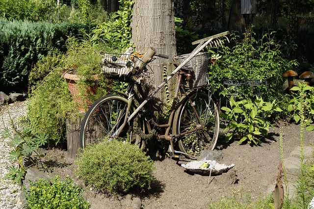 Free Bicycle Rusty photo and picture