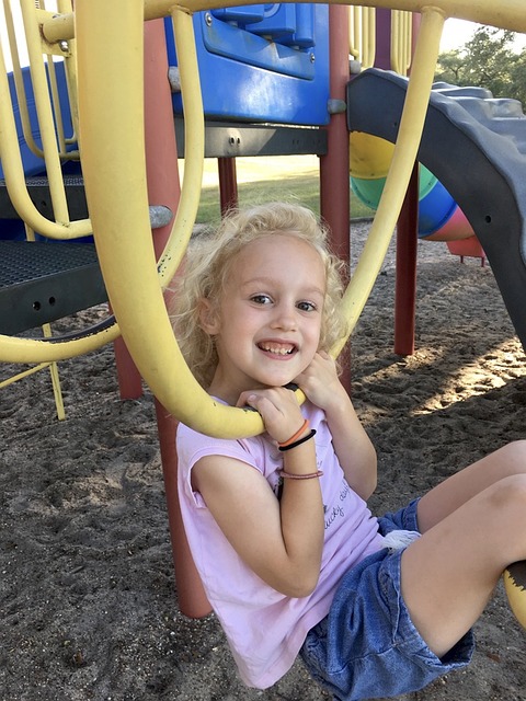 Free Play Park photo and picture