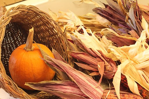 Free Autumn Indian Corn photo and picture