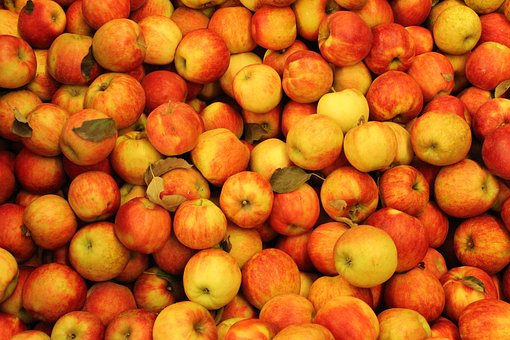 Free Apples Red photo and picture
