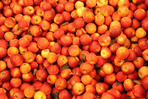 Free Apples Red photo and picture