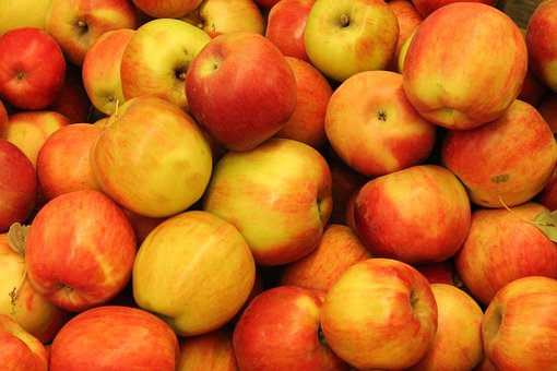 Free Apples Red photo and picture