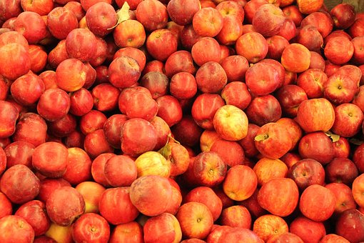 Free Apples Red photo and picture
