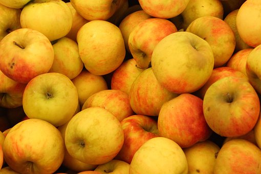 Free Apples Red photo and picture