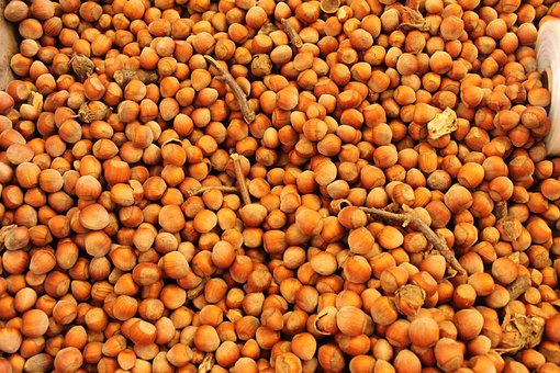 Free Nuts Brown photo and picture