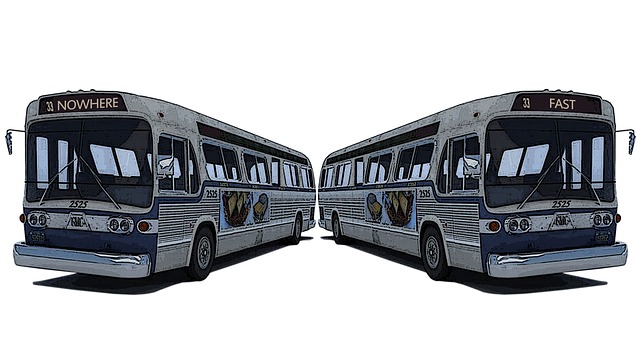 Free bus buses transportation illustration