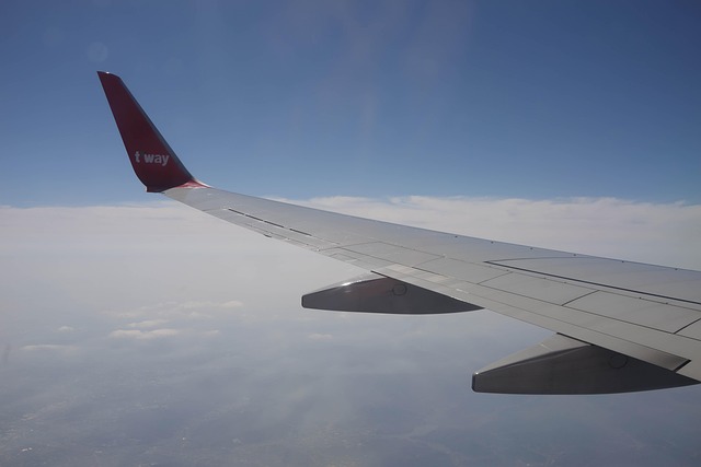 Free Airplane Travel photo and picture