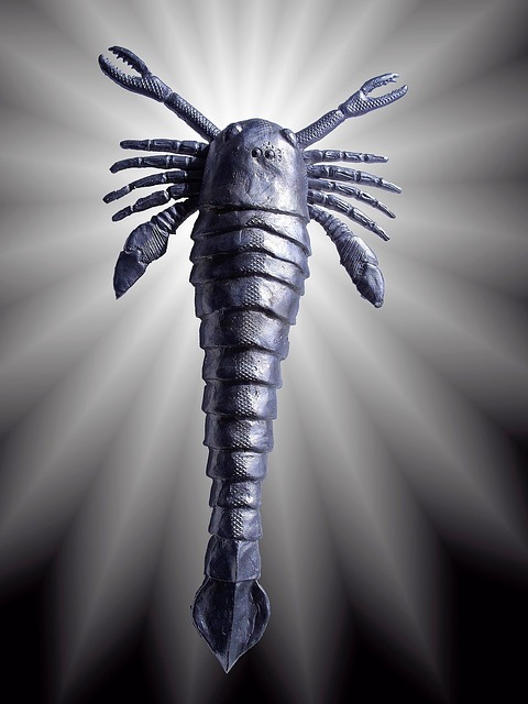 Download free HD stock image of Pterigotus Sea Scorpion Free pterigotus sea scorpion silurian illustration