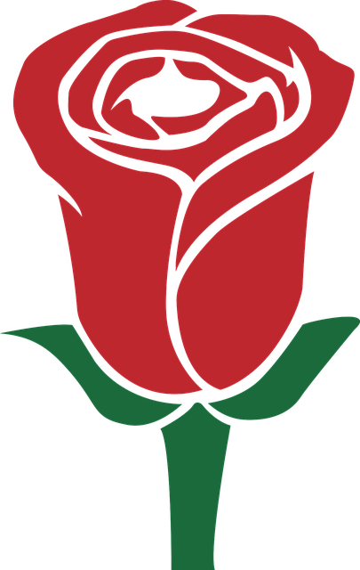 Download free HD stock image of Rose Red Free rose red green illustration