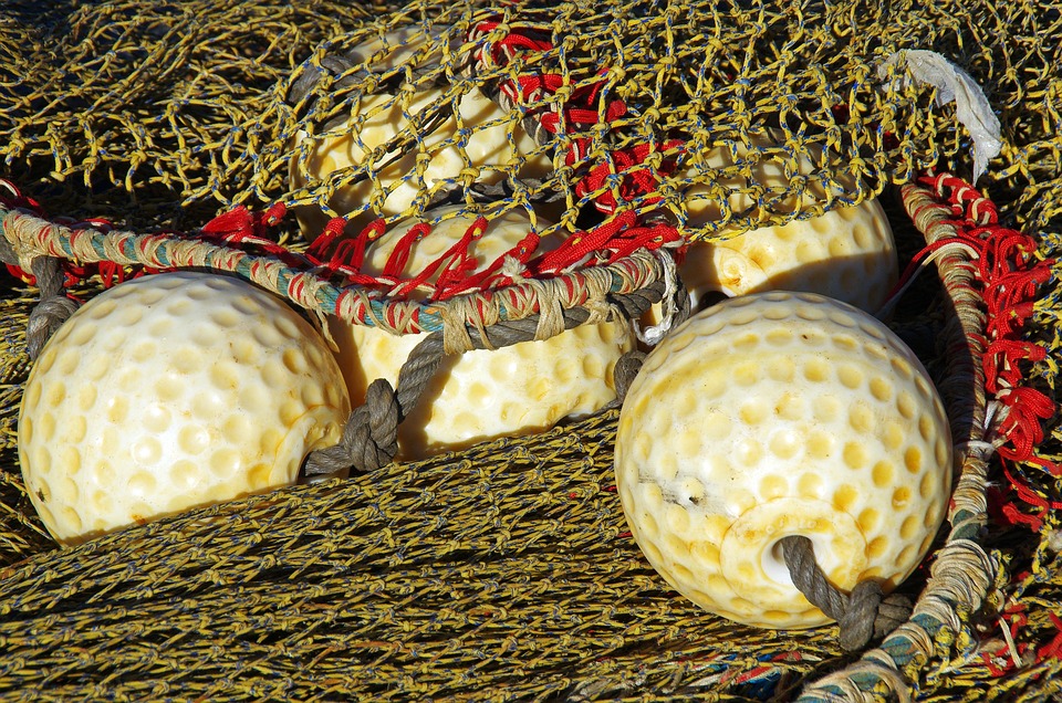 Fishing Hacks 101: Master the Art of Angling with These Tips!