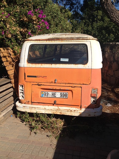 Free Vw Bus Orange photo and picture