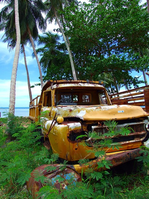 Free Automobile Wreck photo and picture