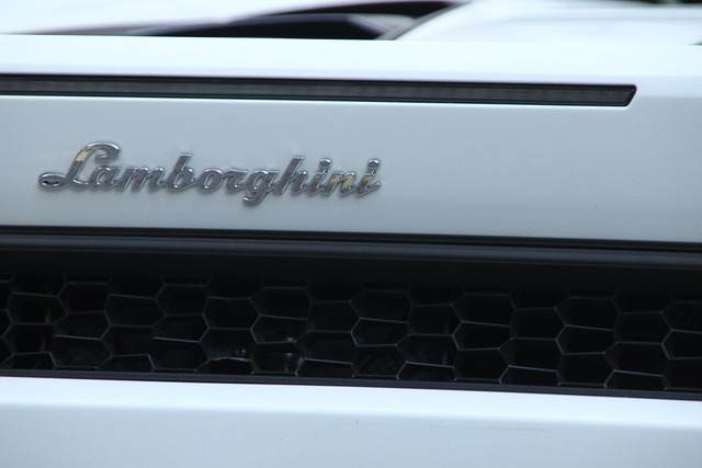Free Lamborghini Emblem photo and picture