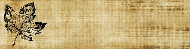 Banner, Header, Natur, Hjemmeside, Blad