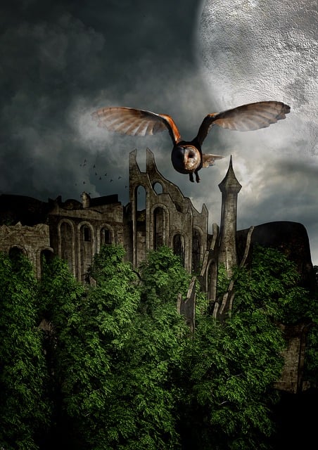 Free owl castle ruin illustration