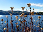rurtalsperre, schwammenauel, eifel