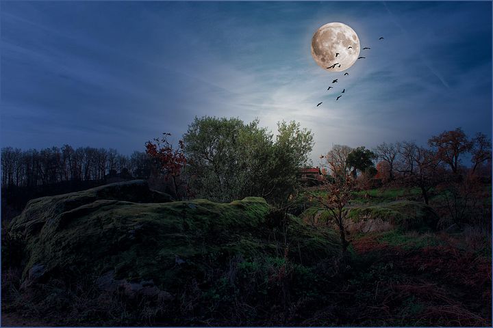 2,000+ Free Full Moon & Moon Images - Pixabay