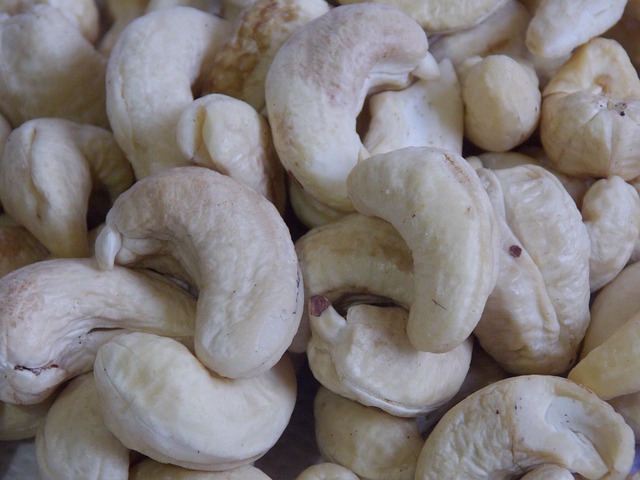 Free Cashew Nut photo and picture