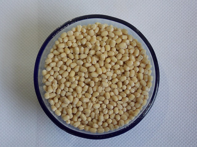 Free Urad Dhal White photo and picture