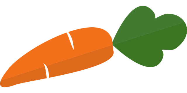 Free carrot vegetables orange vector