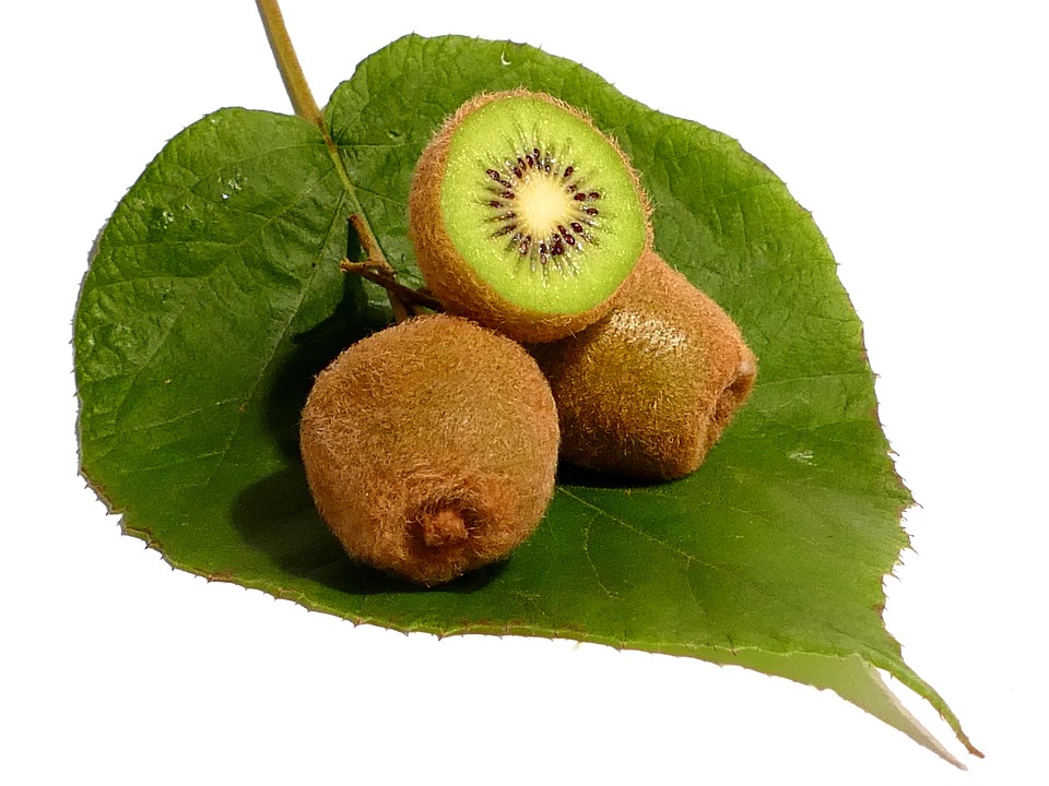 kiwi fruit vitamins free photo on pixabay