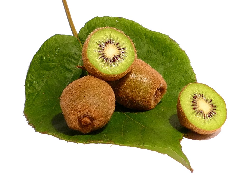 kiwi fruit vitamins free photo on pixabay