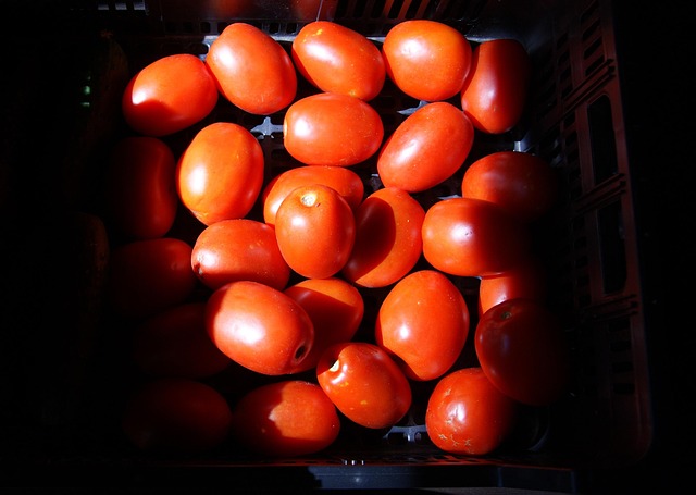 Free Vegetables Tomato photo and picture