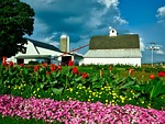 iowa, farm, barn