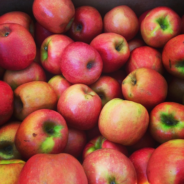 Free Food Farm photo and picture