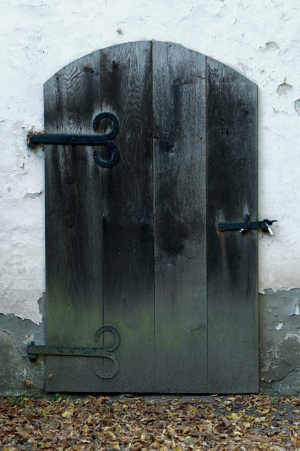 Free Door Wooden Door photo and picture