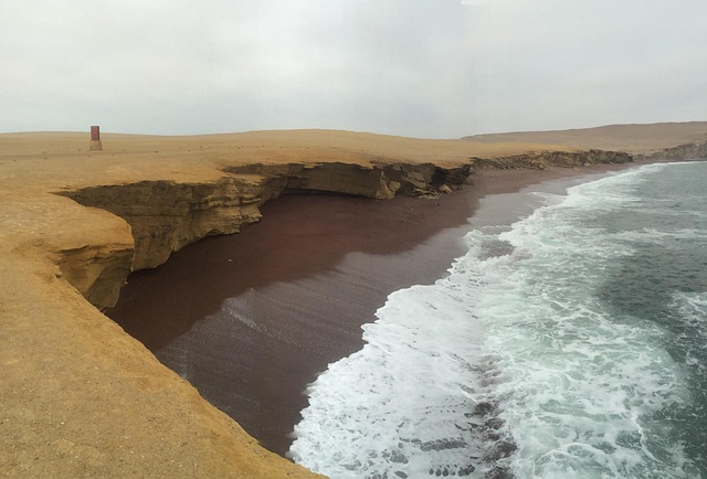 Pelicano Islas Ballestas Paracas - Foto gratis en Pixabay
