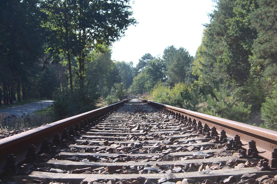 railway rails nature track